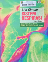 Image of At a Glance Sistem Resparasi Edisi Kedua